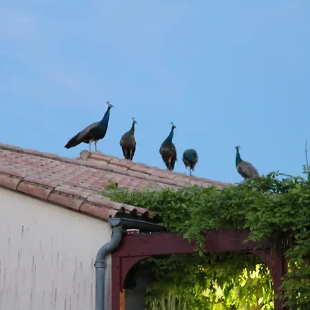 Hotel De L'argentiere Mellé